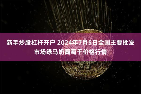 新手炒股杠杆开户 2024年7月5日全国主要批发市场绿马奶葡萄干价格行情