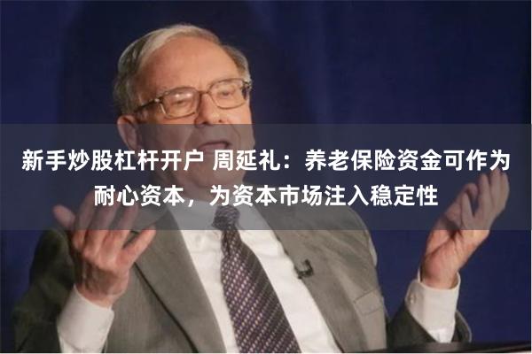 新手炒股杠杆开户 周延礼：养老保险资金可作为耐心资本，为资本市场注入稳定性