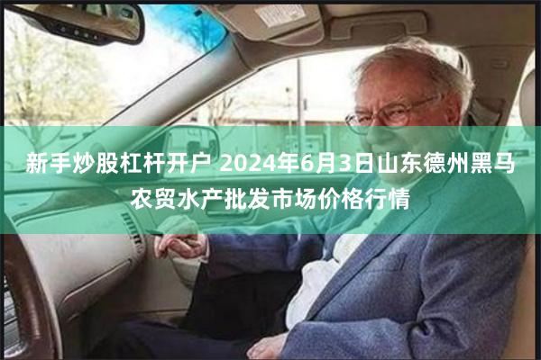 新手炒股杠杆开户 2024年6月3日山东德州黑马农贸水产批发市场价格行情