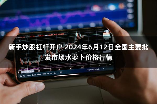 新手炒股杠杆开户 2024年6月12日全国主要批发市场水萝卜价格行情