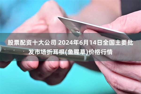 股票配资十大公司 2024年6月14日全国主要批发市场折耳根(鱼腥草)价格行情