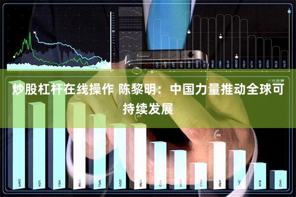 炒股杠杆在线操作 陈黎明：中国力量推动全球可持续发展