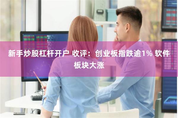 新手炒股杠杆开户 收评：创业板指跌逾1% 软件板块大涨