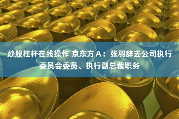 炒股杠杆在线操作 京东方Ａ：张羽辞去公司执行委员会委员、执行副总裁职务