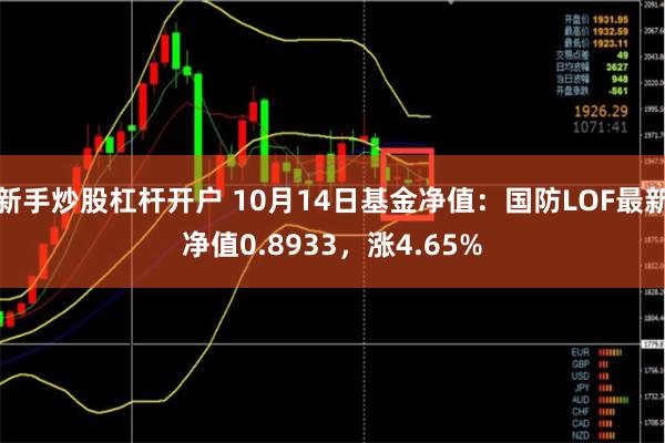 新手炒股杠杆开户 10月14日基金净值：国防LOF最新净值0.8933，涨4.65%