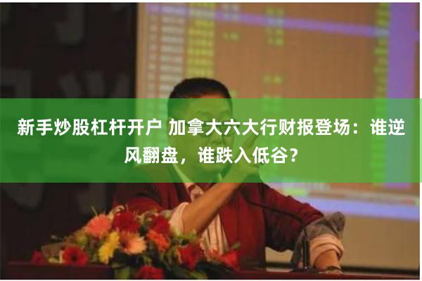 新手炒股杠杆开户 加拿大六大行财报登场：谁逆风翻盘，谁跌入低谷？