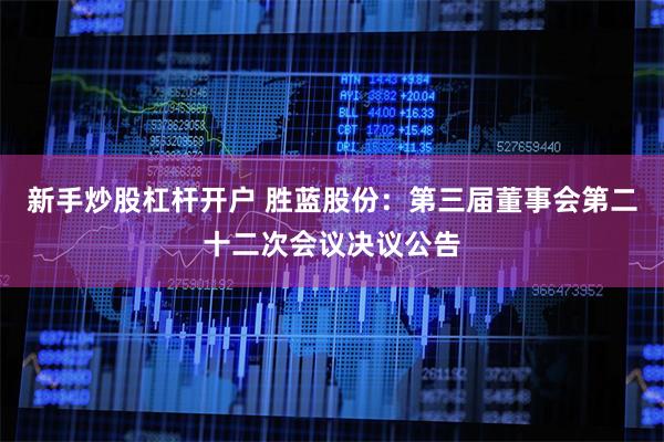 新手炒股杠杆开户 胜蓝股份：第三届董事会第二十二次会议决议公告