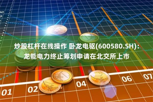 炒股杠杆在线操作 卧龙电驱(600580.SH)：龙能电力终止筹划申请在北交所上市