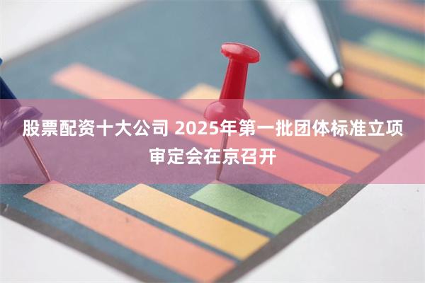 股票配资十大公司 2025年第一批团体标准立项审定会在京召开