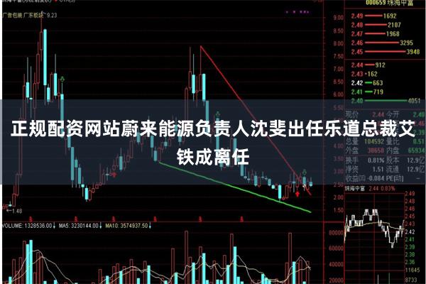 正规配资网站蔚来能源负责人沈斐出任乐道总裁艾铁成离任